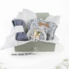 PresentSet med Presentbox - Garden Leo Toile Silikon
